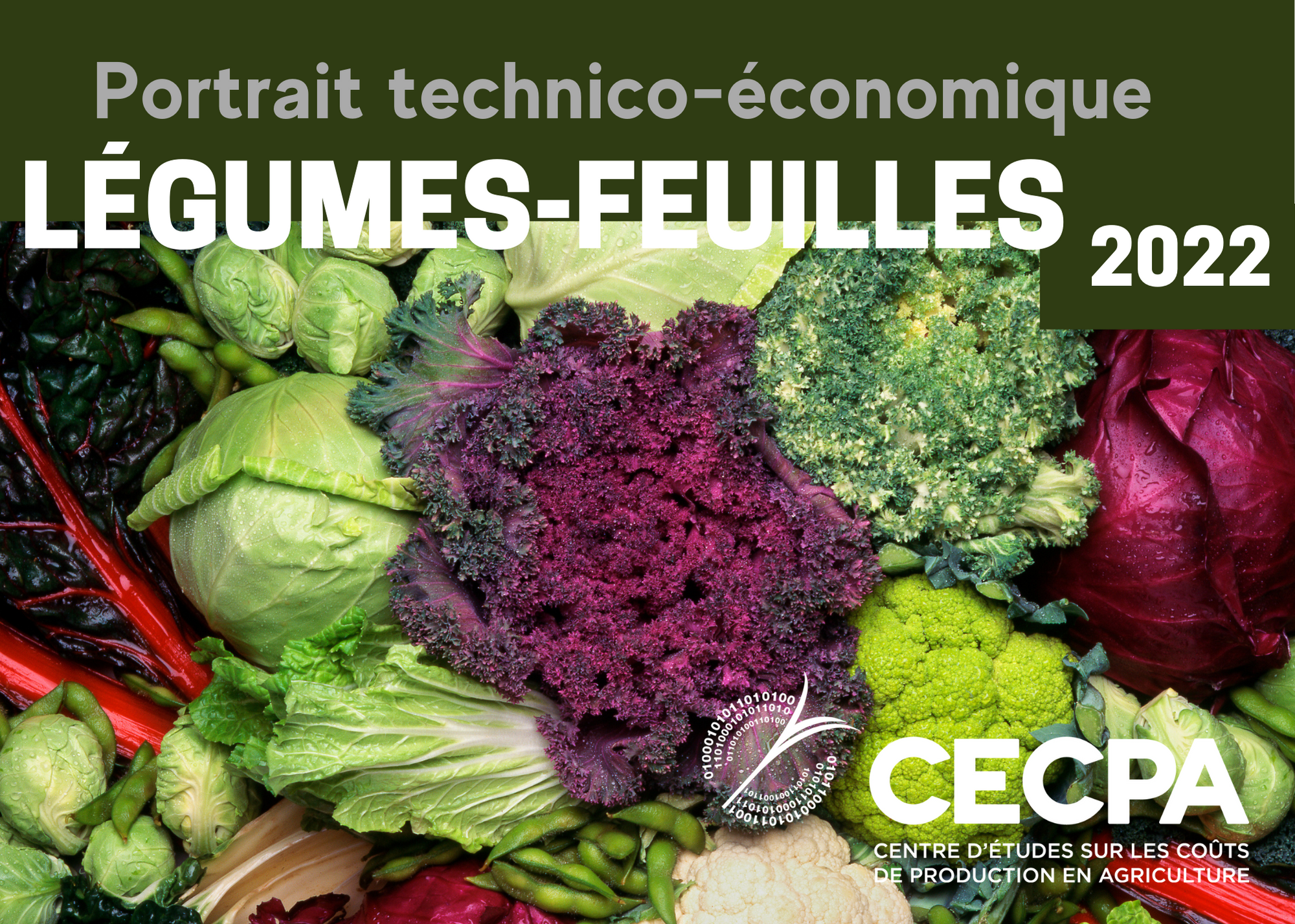 Inf. complémentaires : Étude technico-économique - Production spécialisée de légumes-feuilles au Québec 2022